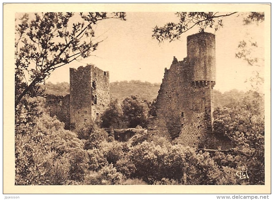 2024 delc 31a +1903.jpg